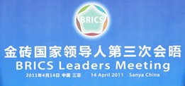 BRICS 2011 logo
